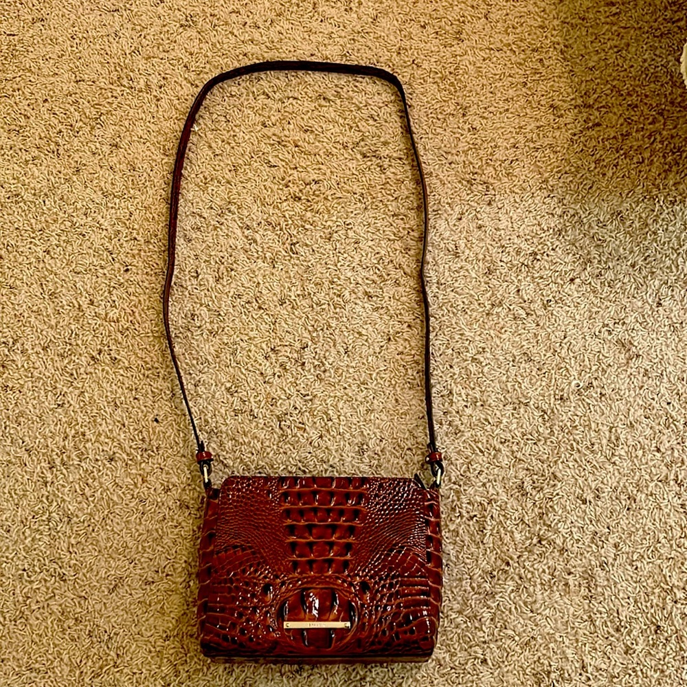 Peacon Brahmin purse